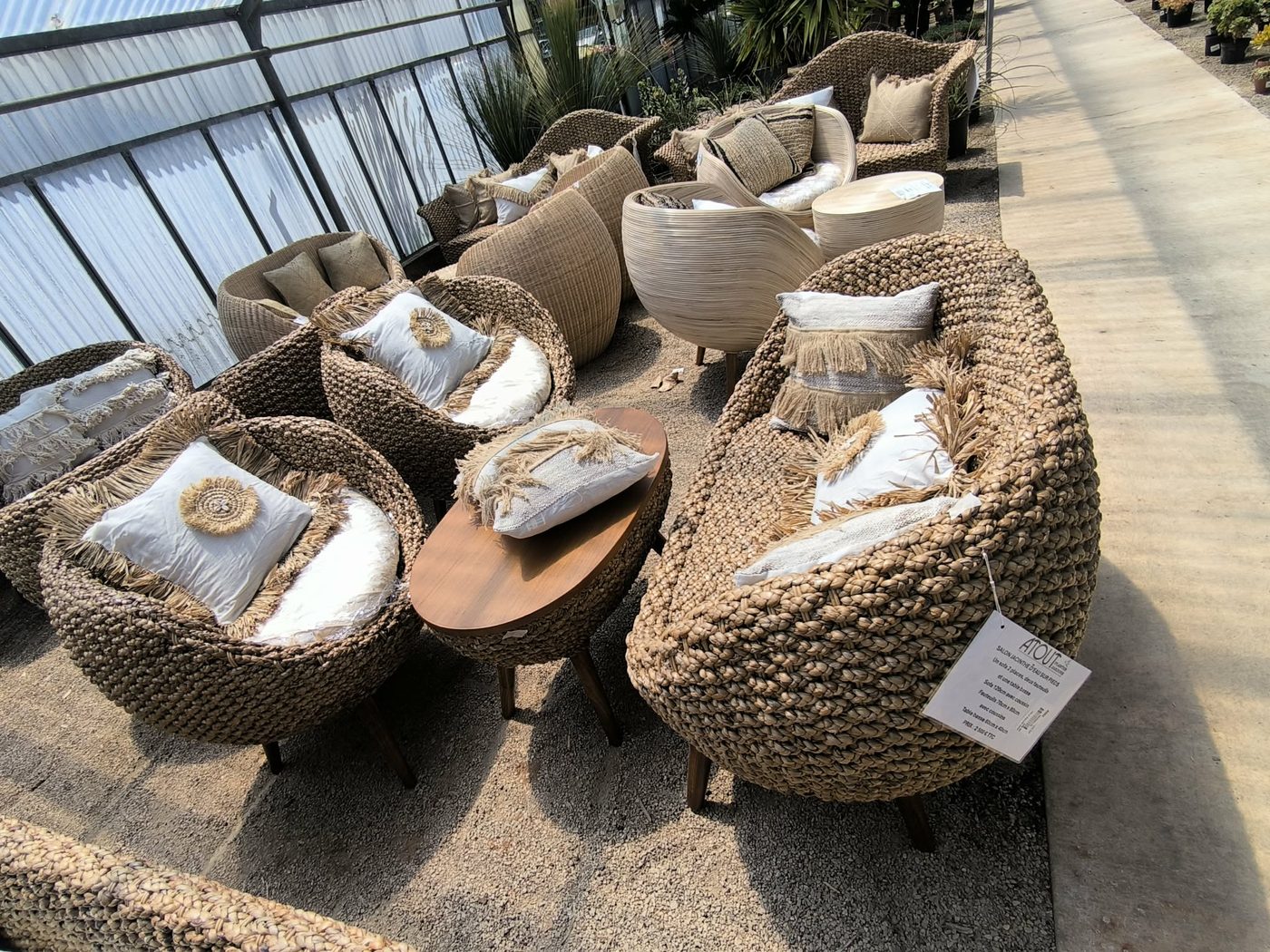 Salon en jacinthe d'eau avec coussins et table basse en teck, sous la serre d'Atout Jardins