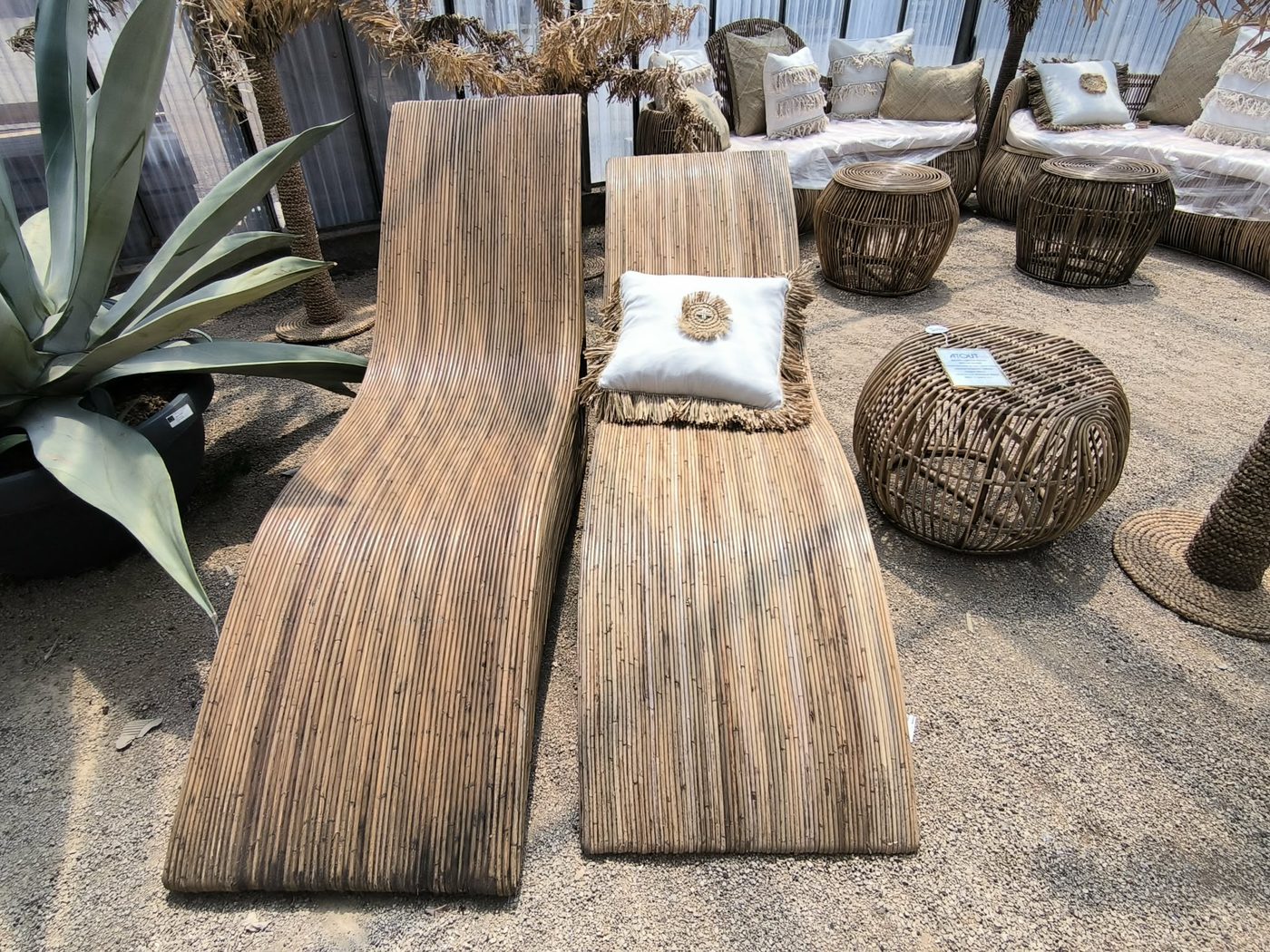 Chaises longues en rotin crayon et poufs tressés, exposés à la pépinière