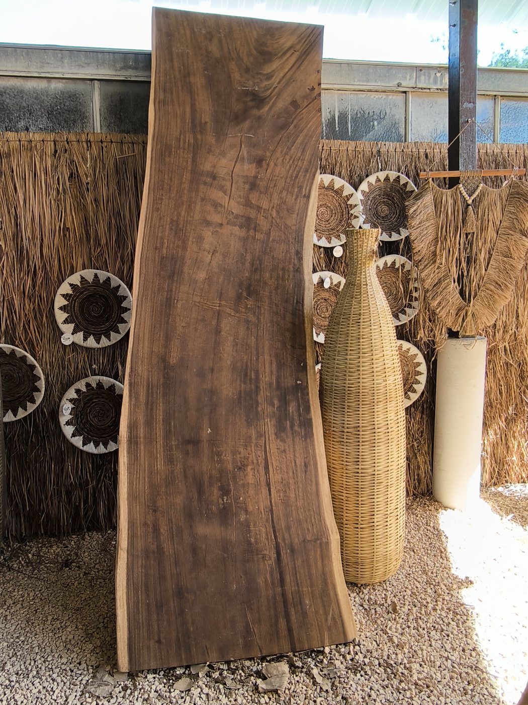 Tranche de suar massif brute et grand vase en rotin dans l'espace d'exposition