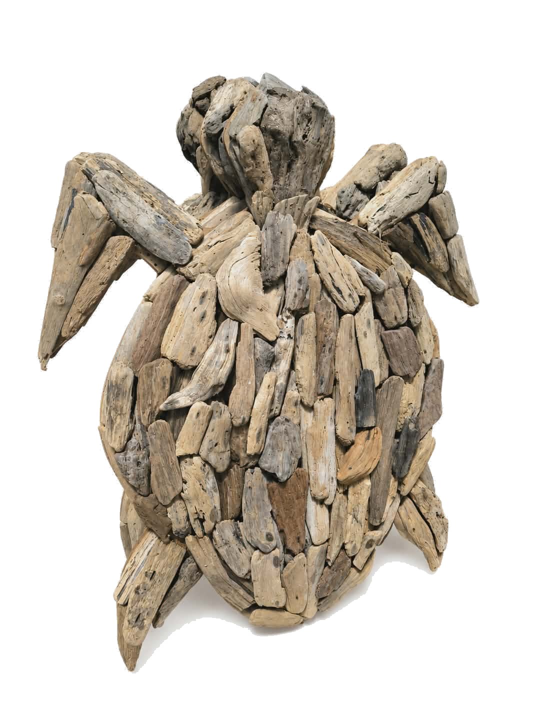 Tortue bois flotté